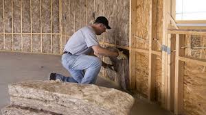 Best Eco-Friendly or Green Insulation Solutions  in Smithfield, VA